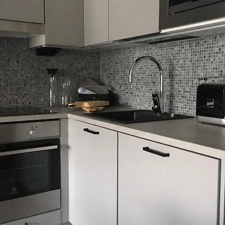 Levin Kunkku B2 Grey Lejlighed *