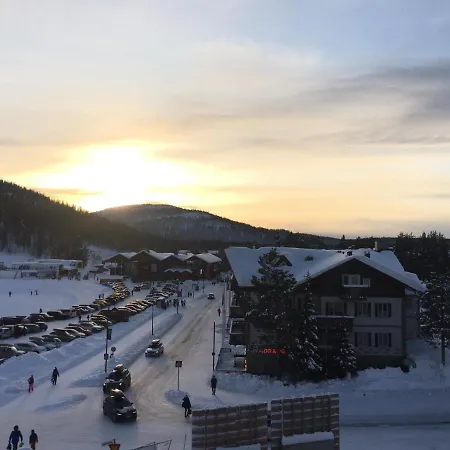 Levin Kunkku B2 Grey Levi