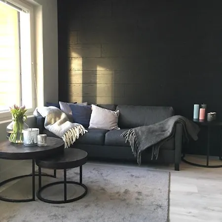 Lejlighed Levin Kunkku B2 Grey Levi