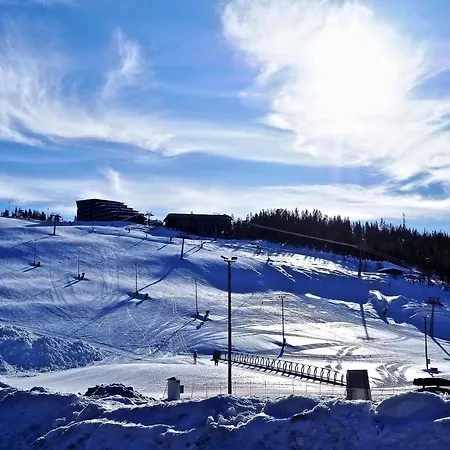 Levin Kunkku B2 Grey * 레비