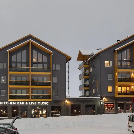 Levin Kunkku B2 Grey