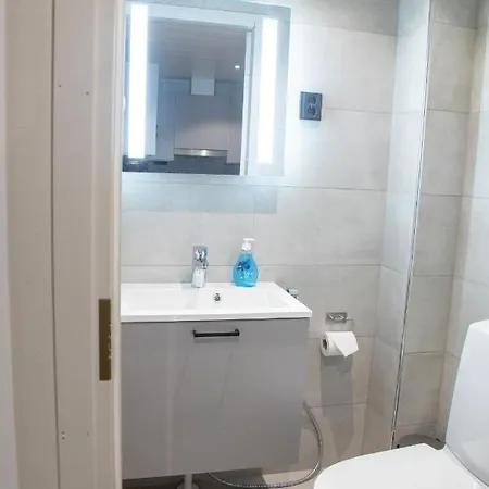 Appartamento Levin Kunkku B2 Grey *