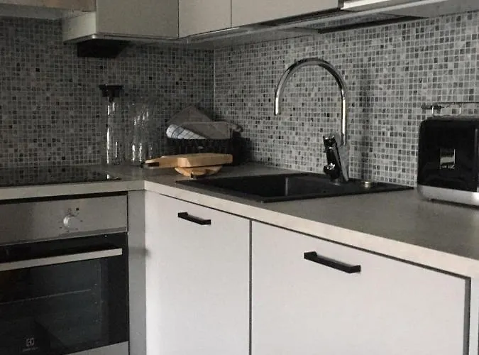 Levin Kunkku B2 Grey شقة *