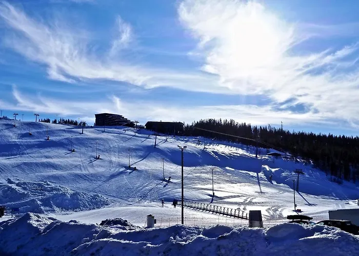 Levin Kunkku B2 Grey * ليفي